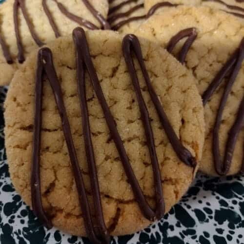 peanut butter cookie drizzled with chocolate.