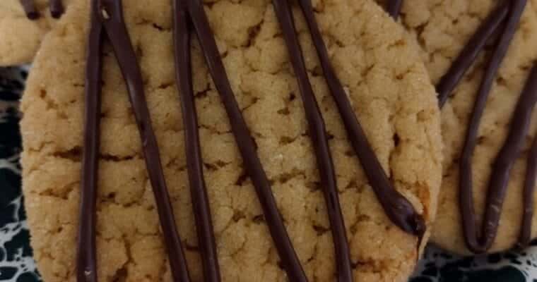 peanut butter cookie drizzled with chocolate.