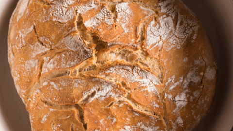 no knead bread baked in dutch oven