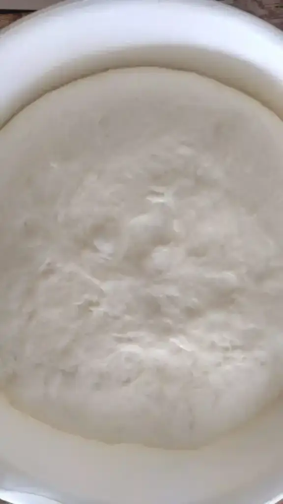 amish white bread dough rising in white bowl