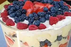 close up three berry trifle