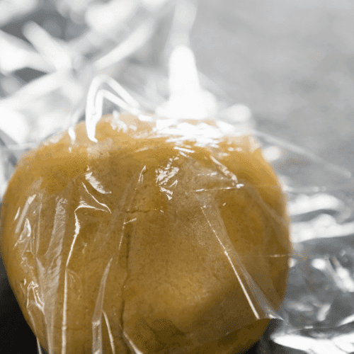 homemade pasta dough wrapped in plastic