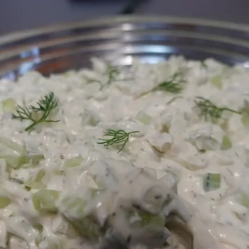 close-up-cucumber-onion-dip