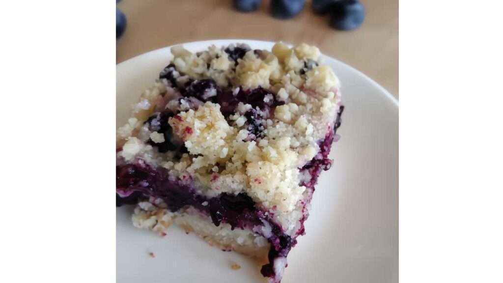 blueberry crumb bar on white plate