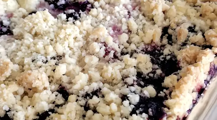 Blueberry Crumb Bars