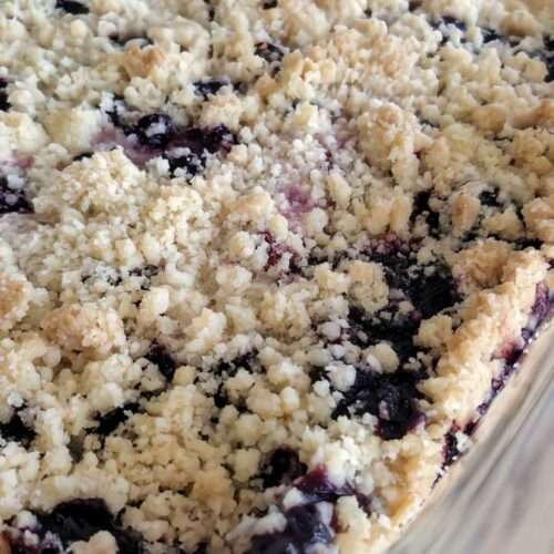 blueberry crumb bar recipe in a 9 x 13 clear pan