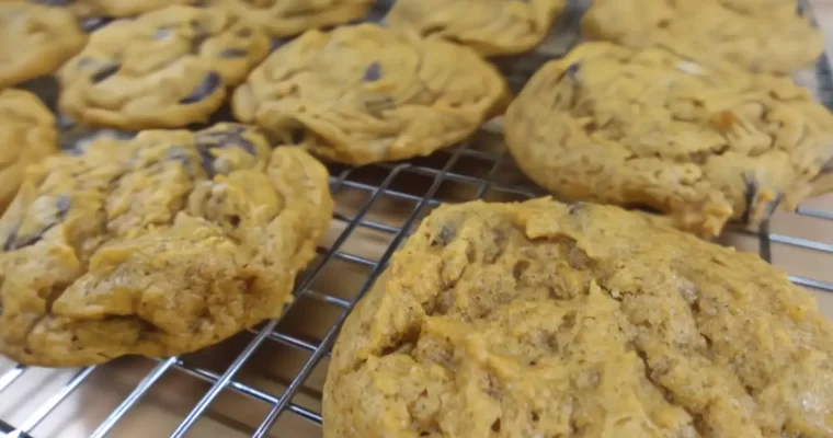 Pumpkin Chocolate Chip Cookies