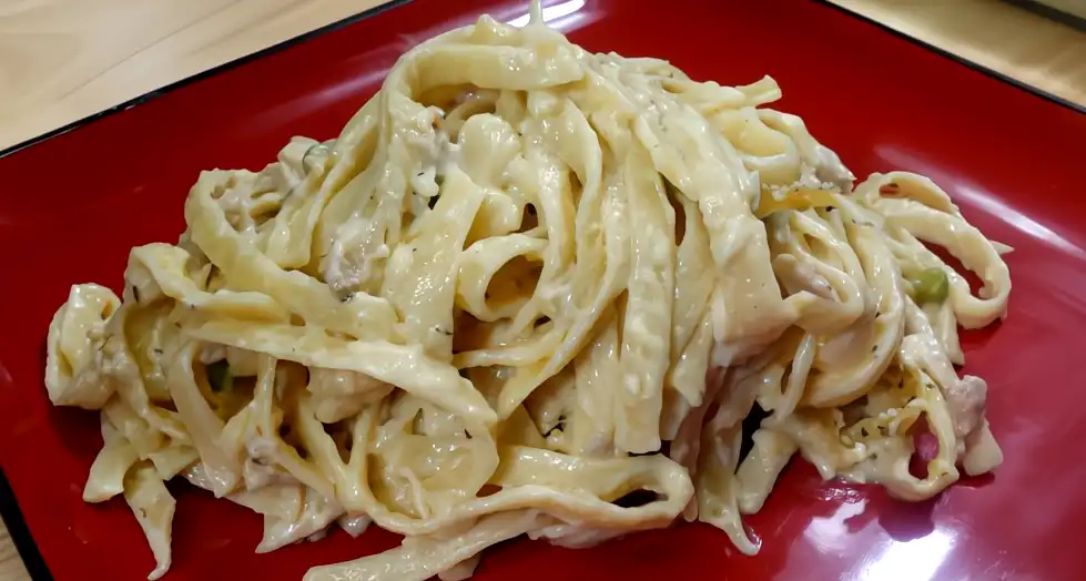 turkey-noodle-casserole-on-red-plate