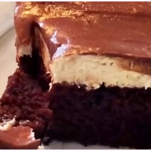 ho-ho-cake-on-white-plate