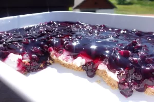 Blueberry-Cream-cheese-delight-in-serving-dish.