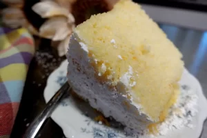 close-up-of-slice-of-orange-chiffon-cake