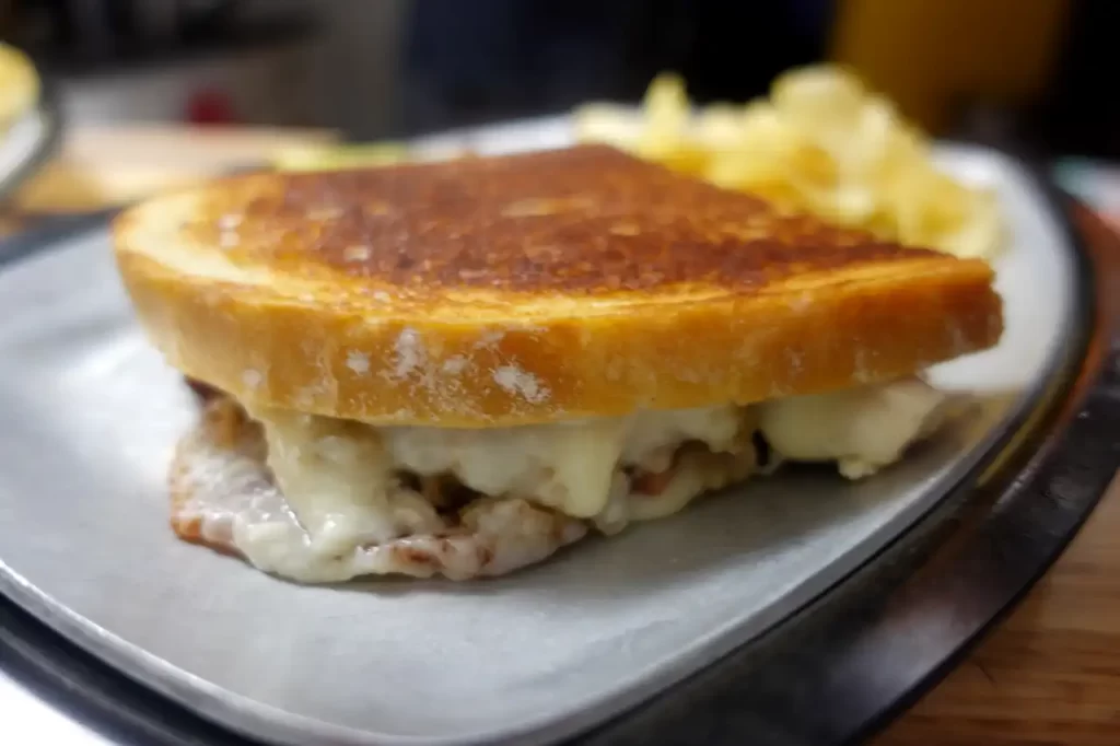 close-up-turkey-cranberry-panini