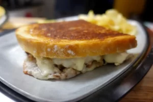 close-up-turkey-cranberry-panini