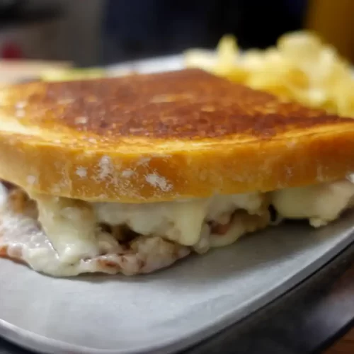 close-up-turkey-cranberry-panini