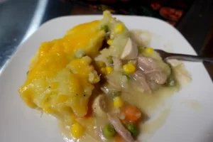 close-up-turkey-shepherds-pie