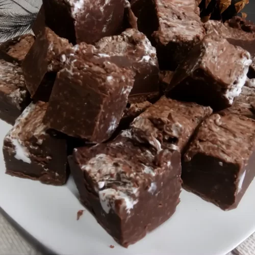 marshmallow-hot-chocolate-fudge-close-up