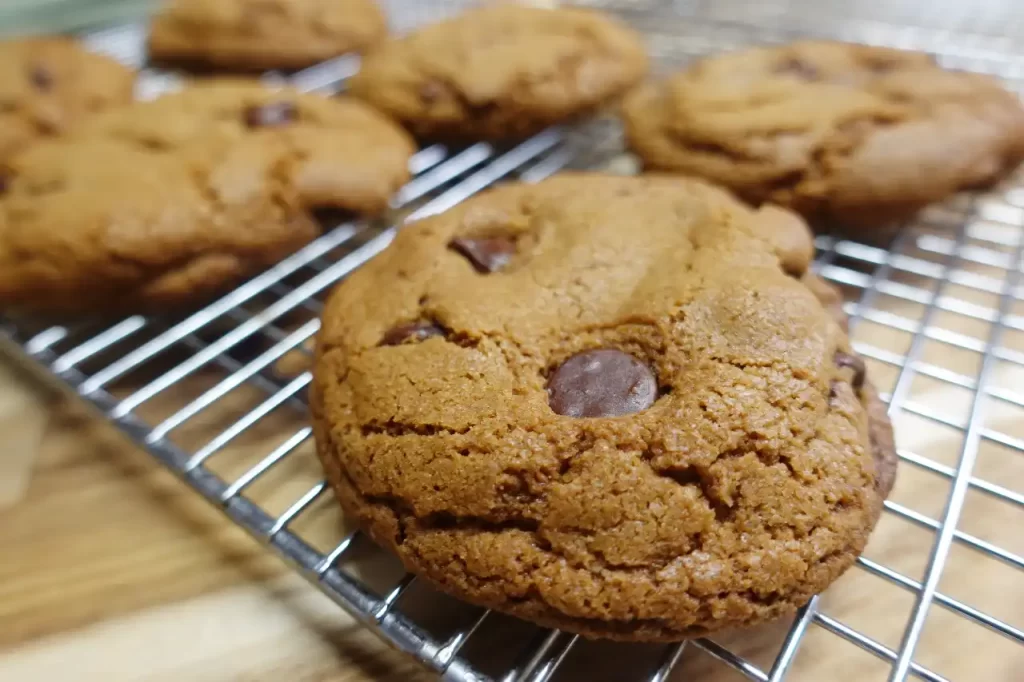 close-up-biscoff-butter-chocolate-chip-cookie.
